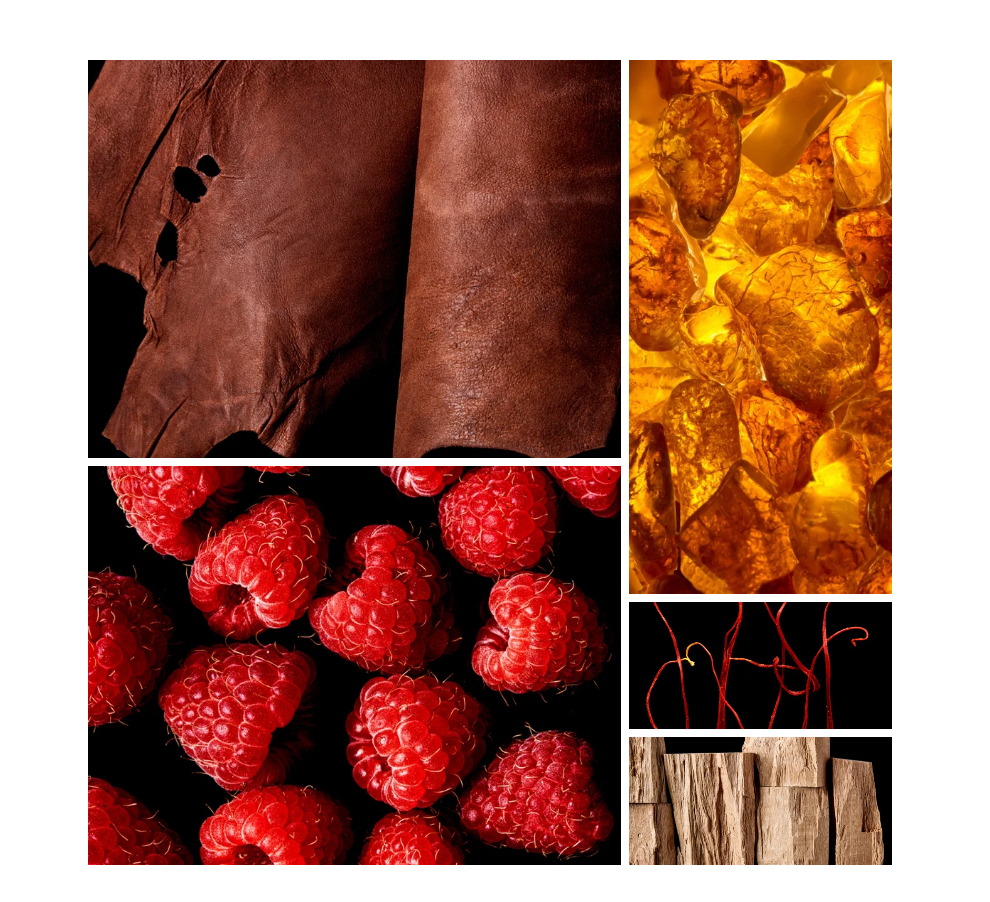 Leopard of Arabia EDP